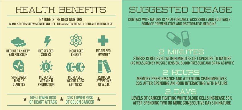 Nature, snowboard IQ, Snowboard Health