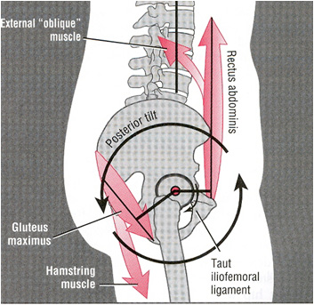 neutral posture, snowboard education, snowboarding safety