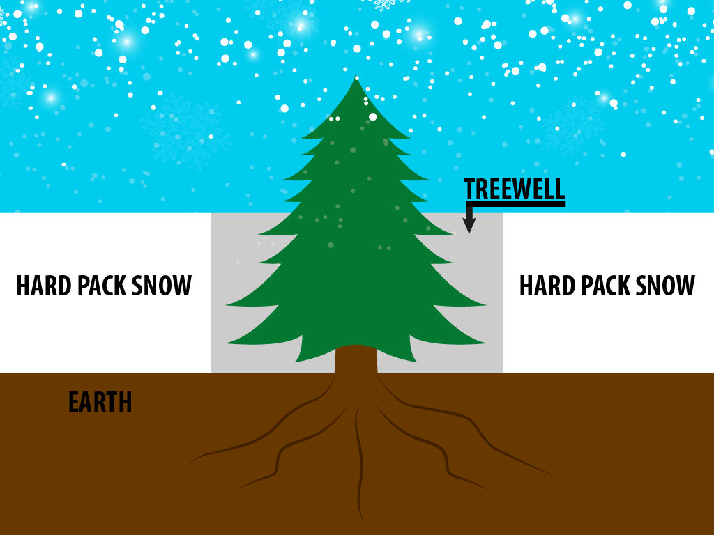 tree wells, tree well, snowboarding safety