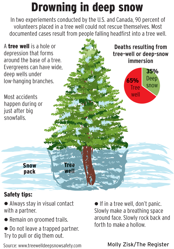 tree wells, tree well