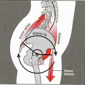 neutral posture, snowboard education, snowboarding safety
