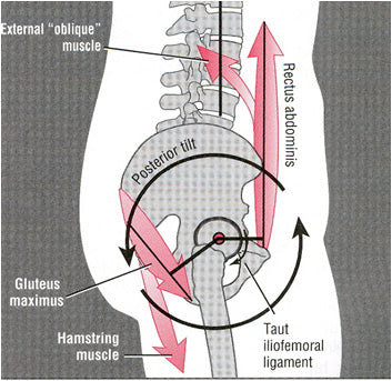 neutral posture, snowboard education, snowboarding safety