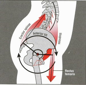 neutral posture, snowboard education, snowboarding safety