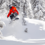 tree tips, snowboard education, virtual, snowboard school, snowboard IQ, snowboarding safety